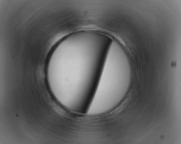 X0000102461458200808080932