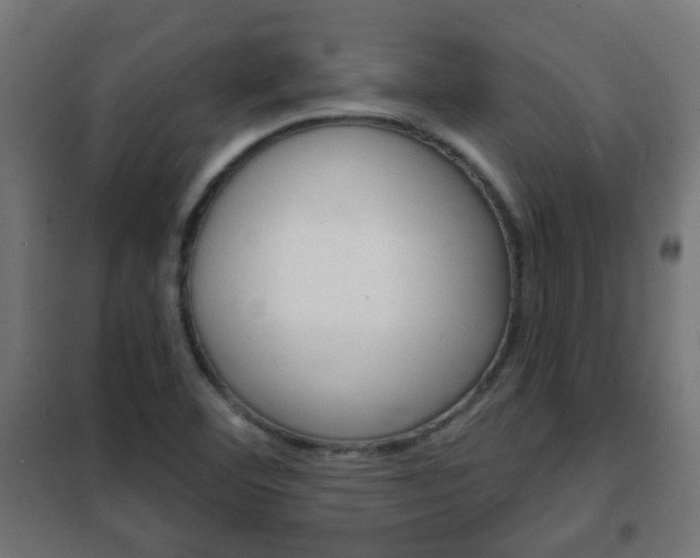 X0000102461460200808080932
