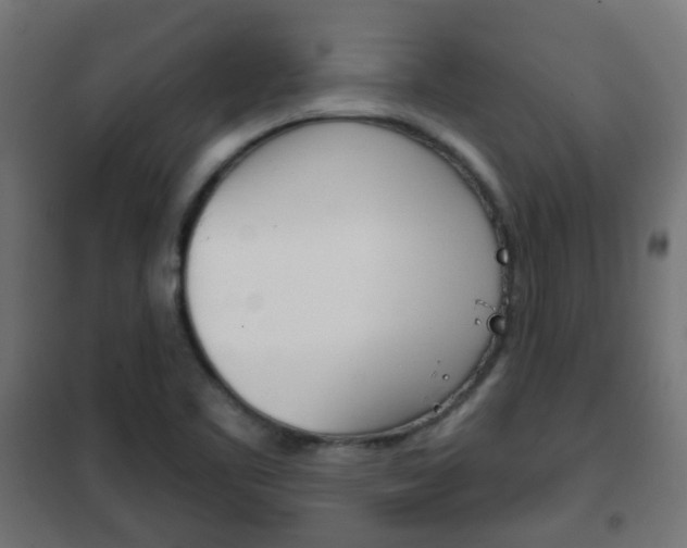 X0000102461461200808080932