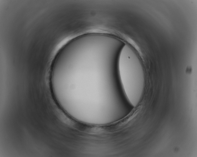 X0000102461463200808080932