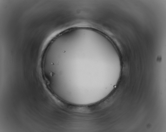 X0000102461464200808080932