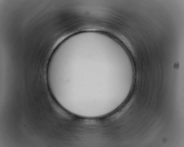 X0000102461465200808080932