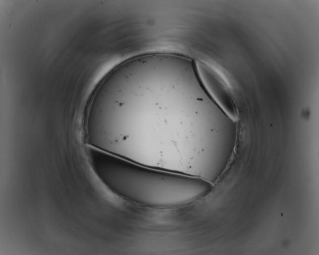 X0000102461468200808080932