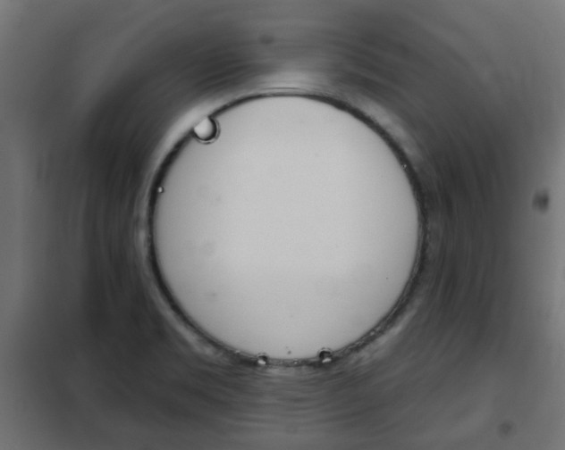X0000102461469200808080932