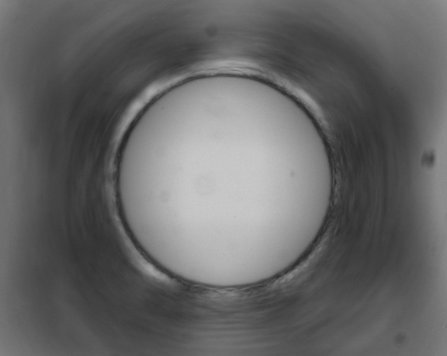 X0000102461470200808080932