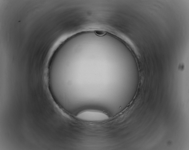 X0000102461472200808080932