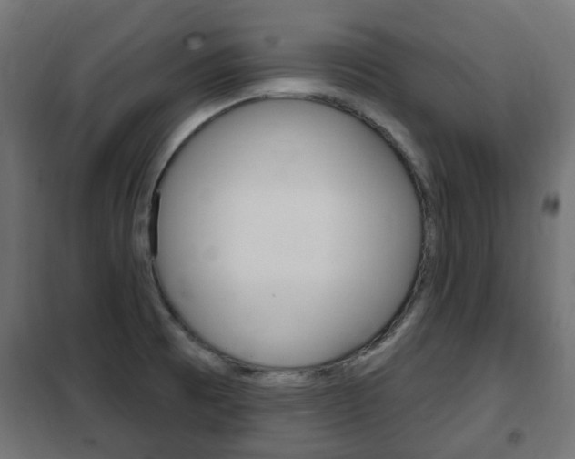 X0000102461473200808080932