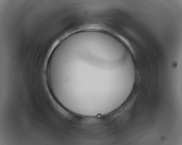X0000102461475200808080932