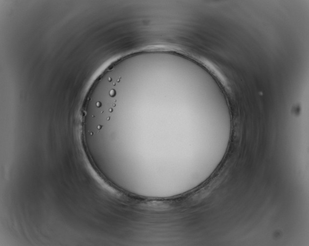 X0000102461476200808080932