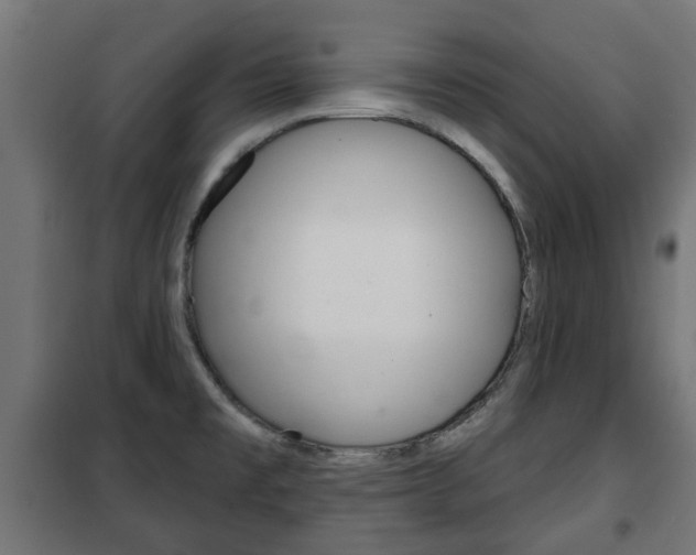 X0000102461477200808080932