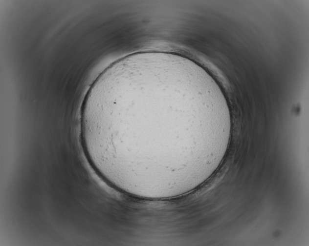 X0000102461479200808080932