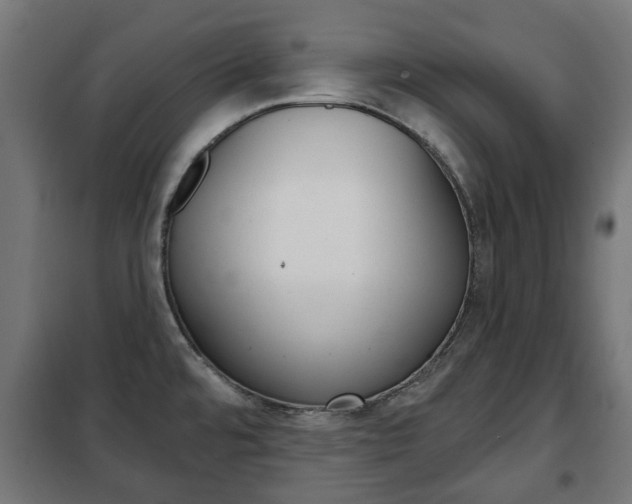 X0000102461480200808080932