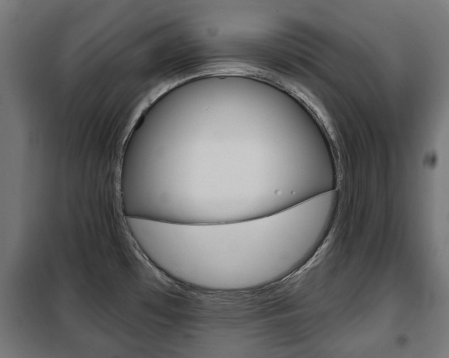 X0000102461481200808080932