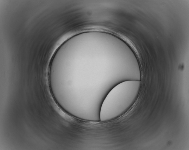 X0000102461482200808080932
