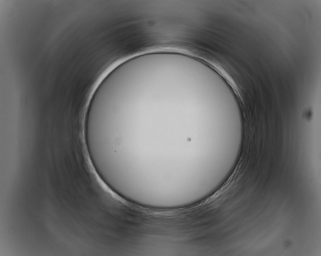 X0000102461484200808080932