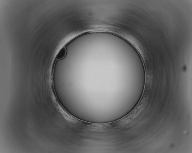 X0000102461485200808080932