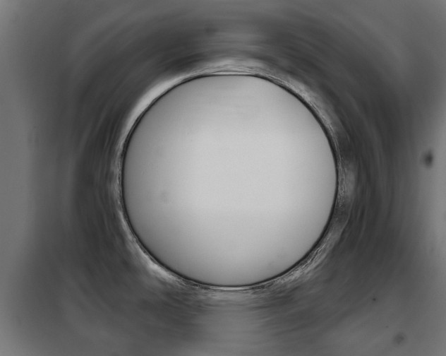 X0000102461486200808080932