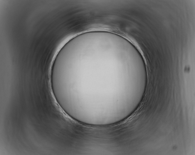 X0000102461488200808080932