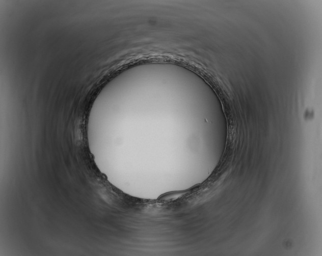 X0000102461490200808080931