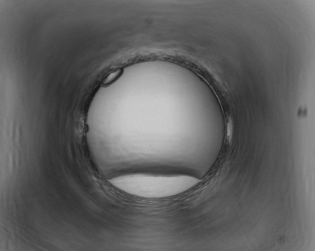 X0000102461492200808080931