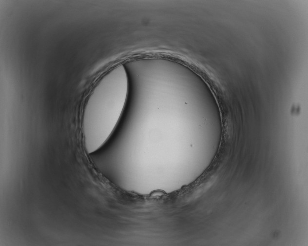 X0000102461494200808080931