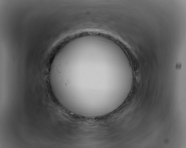 X0000102461495200808080931