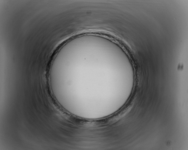 X0000102461497200808080931