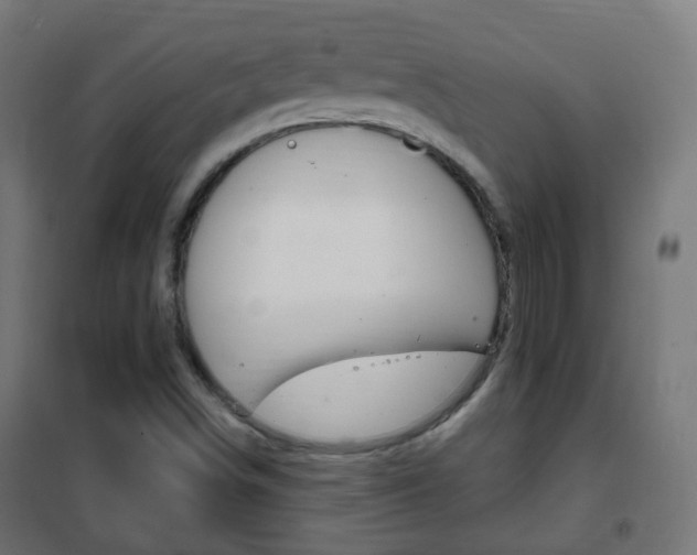 X0000102461498200808080931