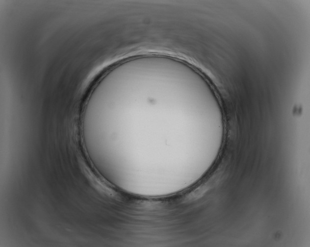 X0000102461499200808080931