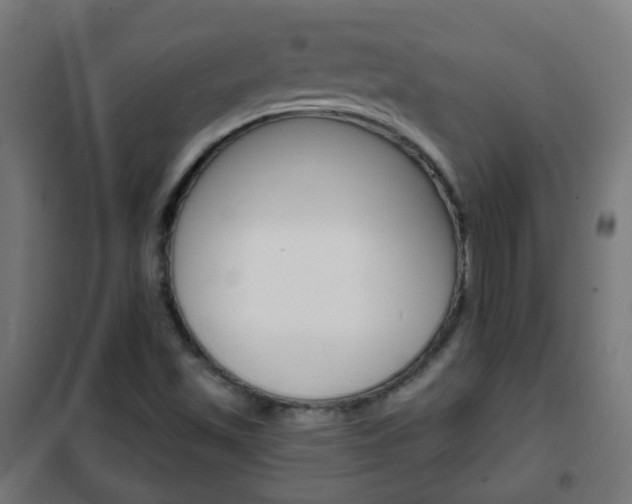 X0000102461501200808080931