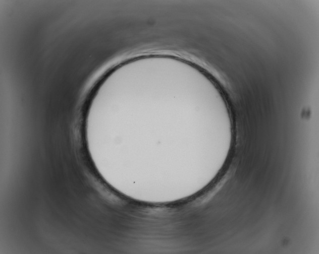 X0000102461502200808080931