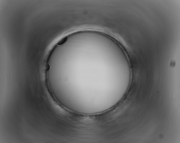 X0000102461504200808080931
