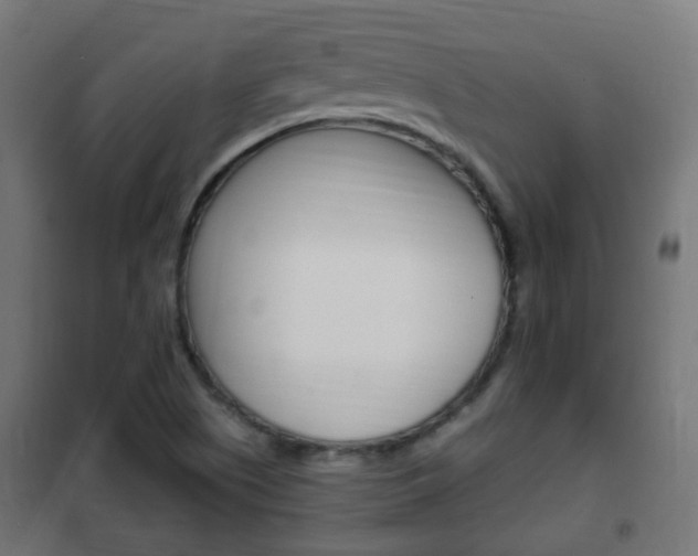 X0000102461505200808080931