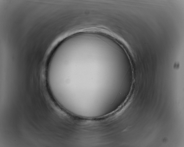X0000102461506200808080931