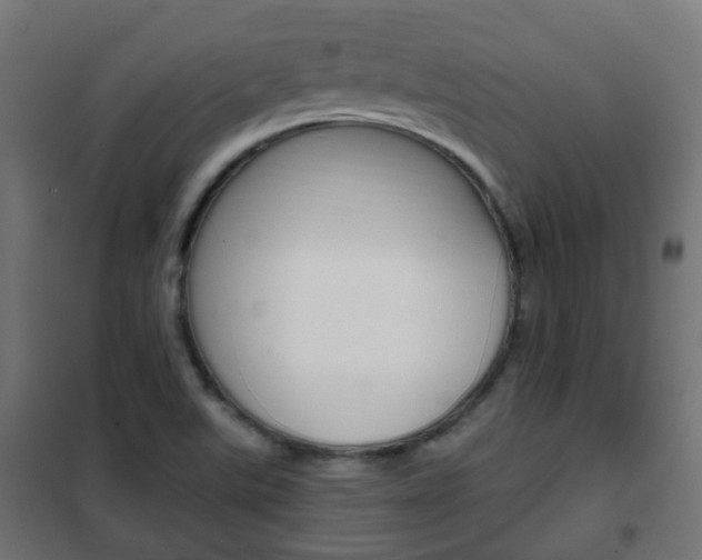 X0000102461507200808080931