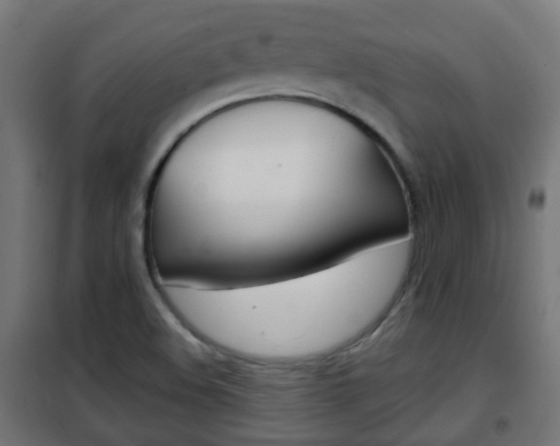 X0000102461508200808080931