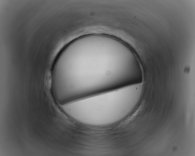 X0000102461509200808080931