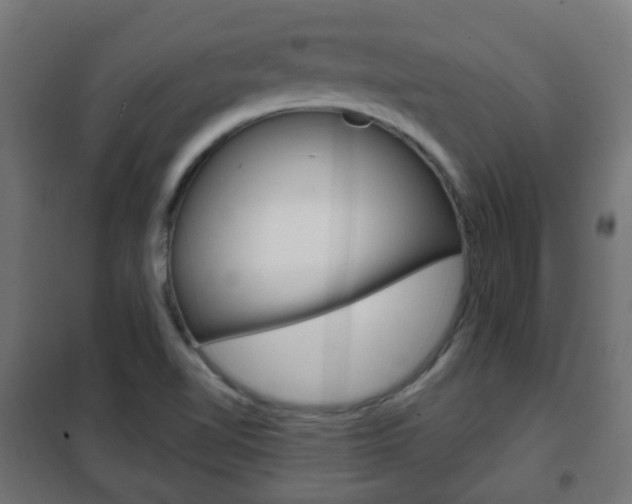 X0000102461510200808080931