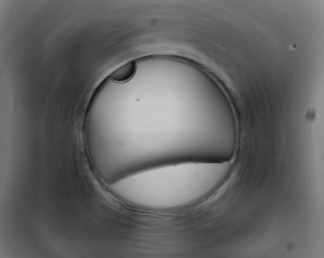 X0000102461513200808080931