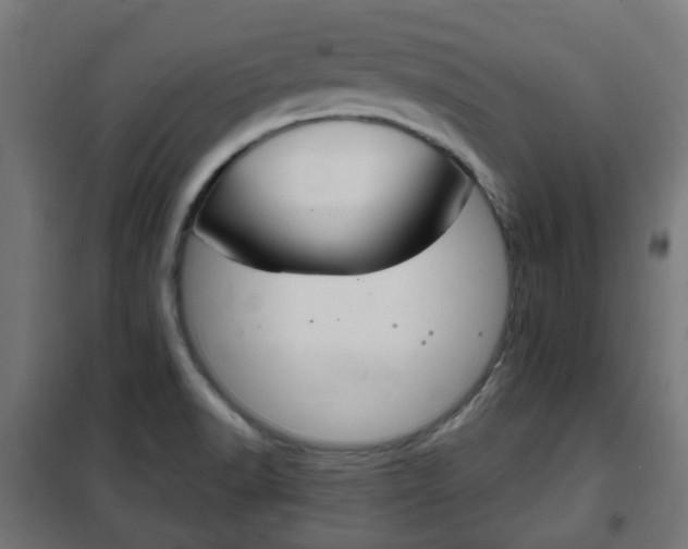 X0000102461518200808080931