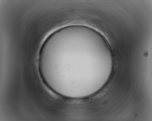 X0000102461519200808080931
