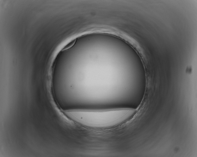 X0000102461520200808080932