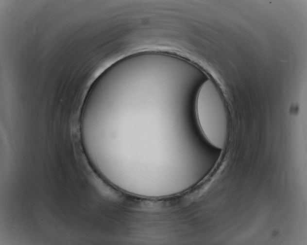 X0000102461521200808080932