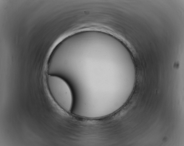 X0000102461522200808080932