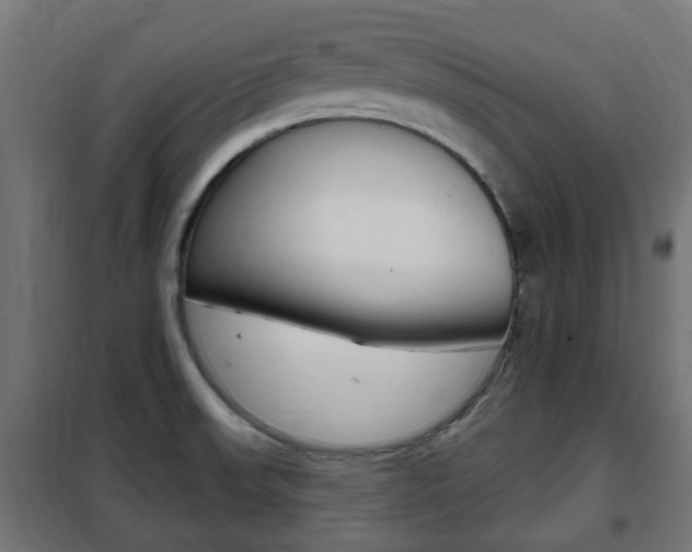 X0000102461523200808080932