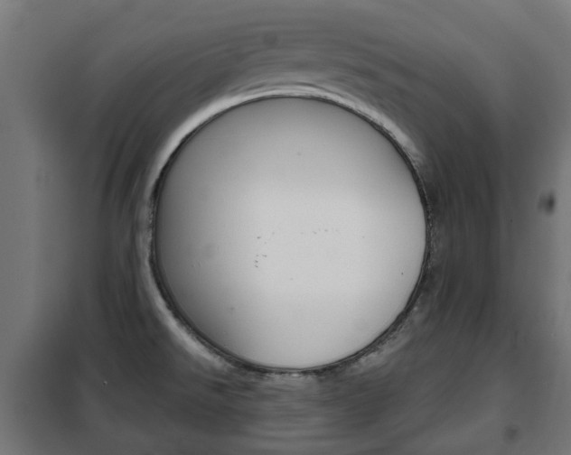 X0000102461526200808080932