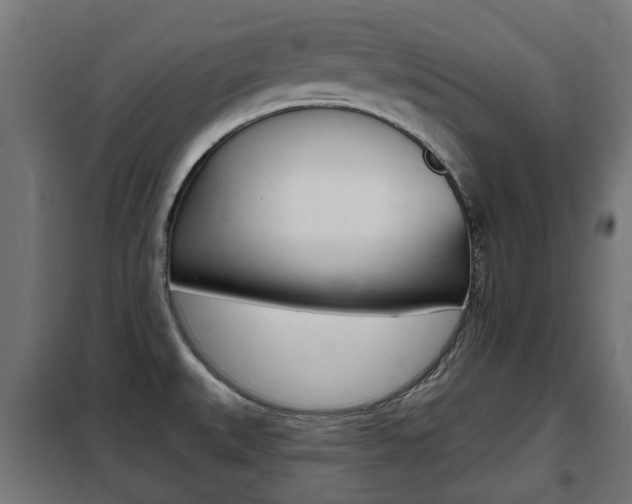 X0000102461527200808080932