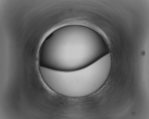 X0000102461528200808080932