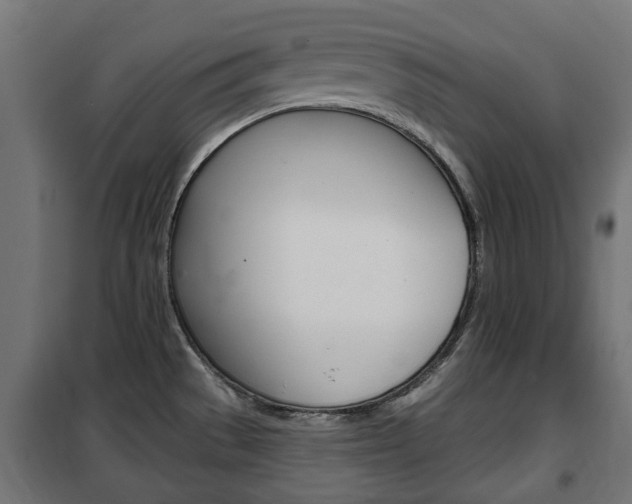 X0000102461529200808080932