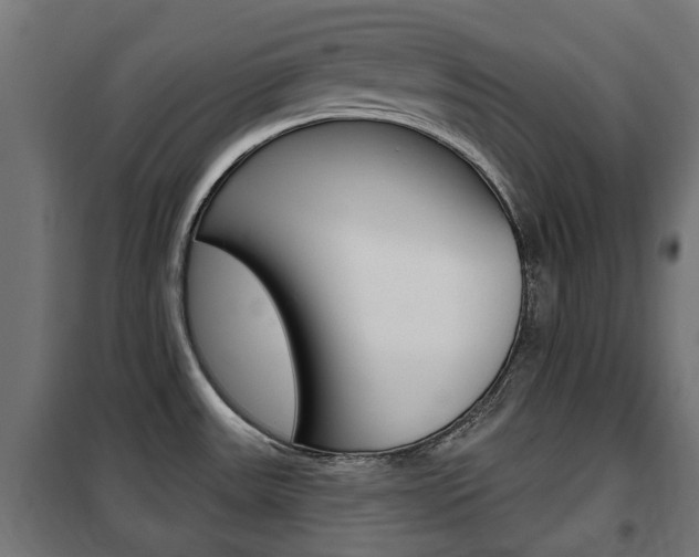 X0000102461531200808080932